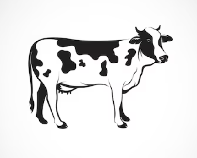 beef. happy paws nutrition